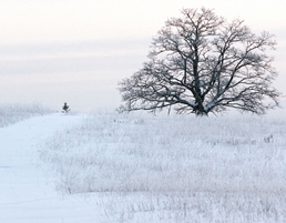 Winter in Latvia countryside by latviatourism.lv
